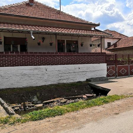 Kuca Mijalkovic Apartment Pirot Exterior foto