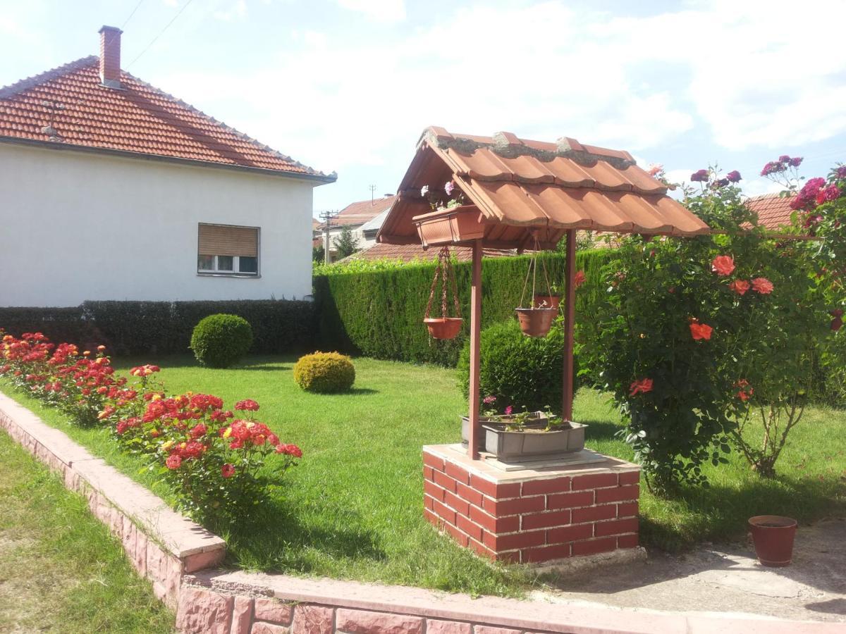 Kuca Mijalkovic Apartment Pirot Exterior foto
