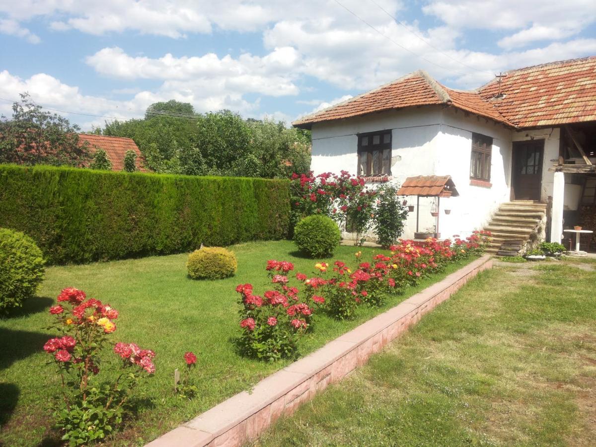Kuca Mijalkovic Apartment Pirot Exterior foto