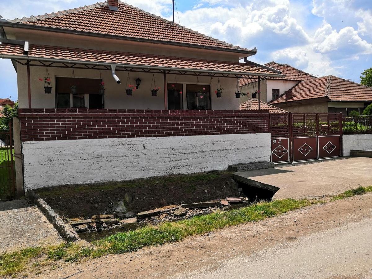 Kuca Mijalkovic Apartment Pirot Exterior foto